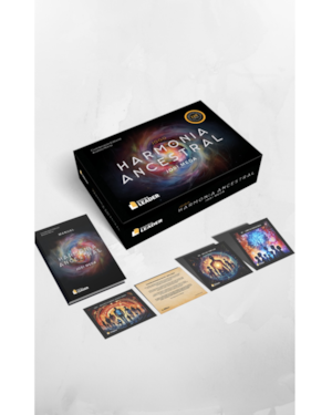 Jogo Harmonia Ancestral - por Josi Meda