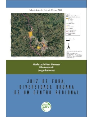 JUIZ DE FORA, DIVERSIDADE URBANA DE UM CENTRO REGIONAL