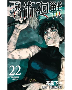 Jujutsu kaisen: batalha de feiticeiros vol. 22