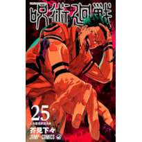 Jujutsu kaisen: batalha de feiticeiros vol. 25