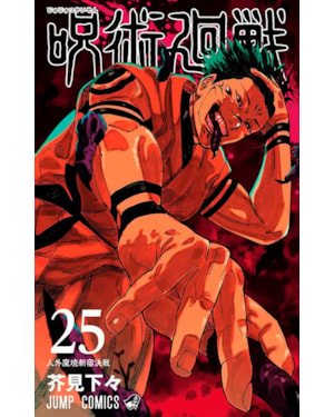 Jujutsu kaisen: batalha de feiticeiros vol. 25