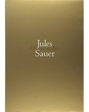 JULES SAUER - O CAMINHO DAS PEDRAS - 1