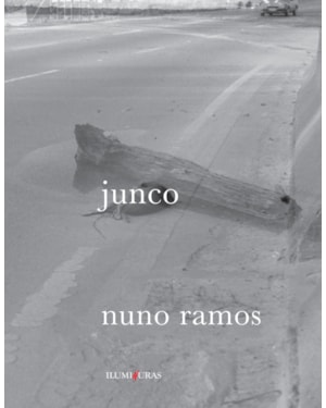 JUNCO