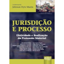 JURISDIÇÃO E PROCESSO - EFETIVIDADE E REALIZAÇÃO DA PRETENSÃO MATERIAL