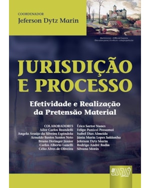 JURISDIÇÃO E PROCESSO - EFETIVIDADE E REALIZAÇÃO DA PRETENSÃO MATERIAL