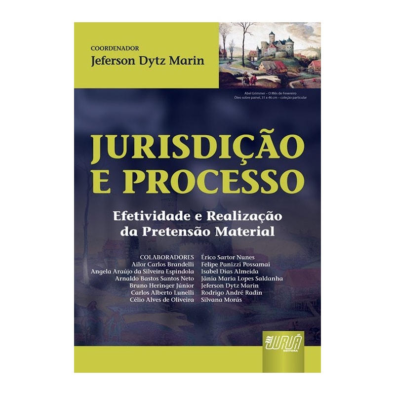JURISDIÇÃO E PROCESSO - EFETIVIDADE E REALIZAÇÃO DA PRETENSÃO MATERIAL