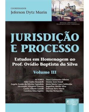 JURISDIÇÃO E PROCESSO III - ESTUDOS EM HOMENAGEM AO PROF. OVÍDIO BAPTISTA DA SILVA