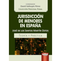 JURISDICCIÓN DE MENORES EN ESPAÑA - TEORÍA Y PRÁCTICA - COLECCIÓN PROCESAL PENAL - COORDINADOR: DAVID VALLESPÍN PÉREZ