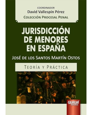 JURISDICCIÓN DE MENORES EN ESPAÑA - TEORÍA Y PRÁCTICA - COLECCIÓN PROCESAL PENAL - COORDINADOR: DAVID VALLESPÍN PÉREZ