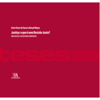 Justiça: o que é uma decisão justa?: uma ideia de justiça ibero-americana
