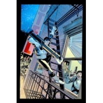 Justiceiro por mike baron & klaus janson (marvel essenciais)