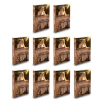 KIT 10 O CÉU E O INFERNO - 10 LIVROS