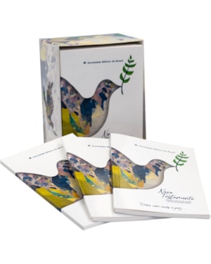 KIT COM 15 NOVOS TESTAMENTOS CAMPANHA DA PAZ: NOVA ALMEIDA ATUALIZADA (NAA)