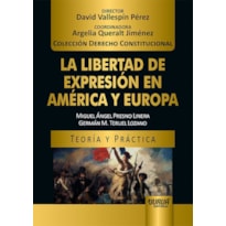 LA LIBERTAD DE EXPRESIÓN EN AMÉRICA Y EUROPA - TEORÍA Y PRÁCTICA - COLECCIÓN DERECHO CONSTITUCIONAL - DIRECTOR: DAVID VALLESPÍN PÉREZ - COORDINADORA: ARGELIA QUERALT JIMÉNEZ