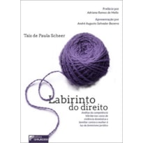 Labirinto do direito: Análise da competência híbrida nos casos de violência doméstica e familiar contra a mulher à luz do feminismo jurídico