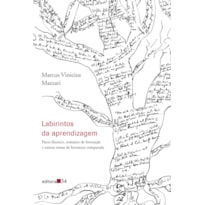 LABIRINTOS DA APRENDIZAGEM