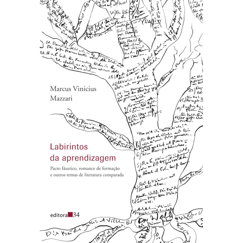 Labirintos da aprendizagem: pacto fáustico, romance de formação e outros temas de literatura comparada