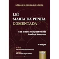 LEI MARIA DA PENHA COMENTADA - SOB A NOVA PERSPECTIVA DOS DIREITOS HUMANOS