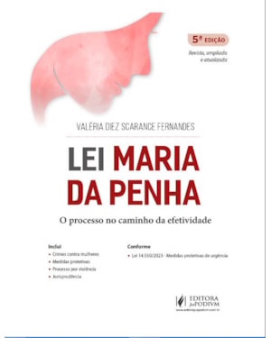 LEI MARIA DA PENHA: O PROCESSO NO CAMINHO DA EFETIVIDADE