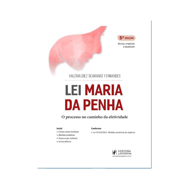 LEI MARIA DA PENHA: O PROCESSO NO CAMINHO DA EFETIVIDADE