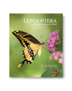 LEPIDOPTERA - BORBOLETAS E MARIPOSAS DO BRASIL