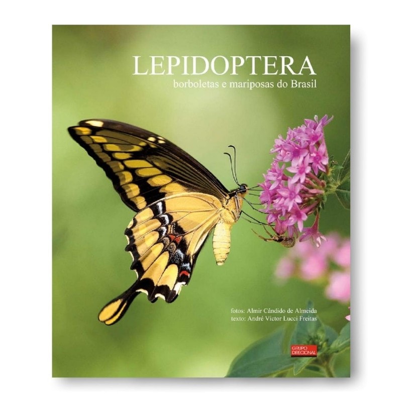 LEPIDOPTERA - BORBOLETAS E MARIPOSAS DO BRASIL