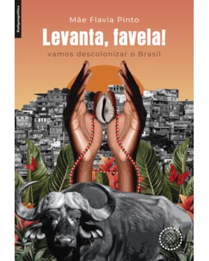 LEVANTA, FAVELA!: VAMOS DESCOLONIZAR O BRASIL