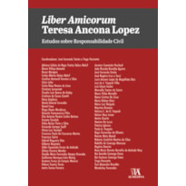 Liber amicorum Teresa Ancona Lopez: estudos sobre responsabilidade civil