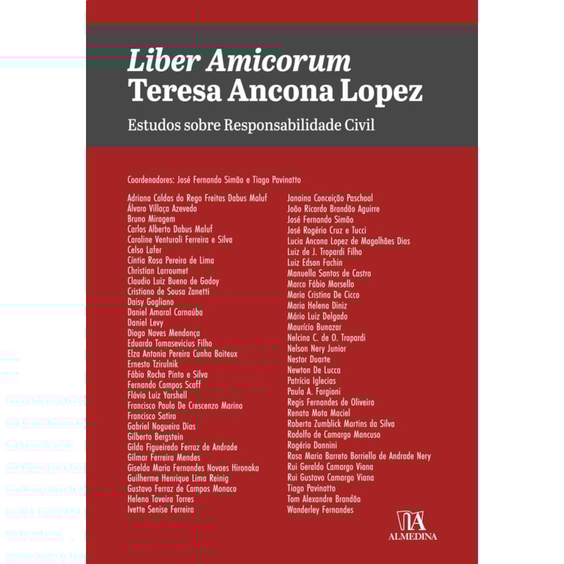 Liber amicorum Teresa Ancona Lopez: estudos sobre responsabilidade civil
