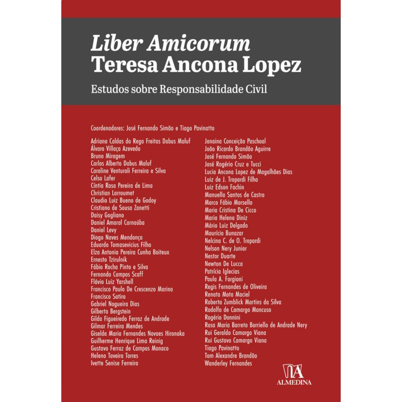 Liber amicorum Teresa Ancona Lopez: estudos sobre responsabilidade civil
