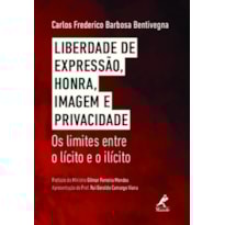 LIBERDADE DE EXPRESSÃO, HONRA, IMAGEM E PRIVACIDADE: OS LIMITES ENTRE O LÍCITO E O ILÍCITO