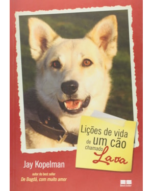 LIÇÕES DE VIDA DE UM CÃO CHAMADO LAVA