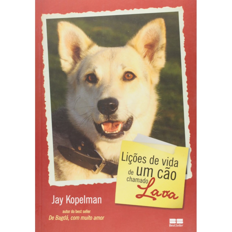 LIÇÕES DE VIDA DE UM CÃO CHAMADO LAVA