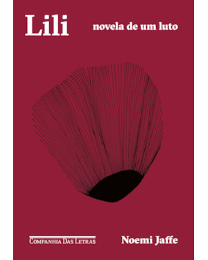 Lili: novela de um luto