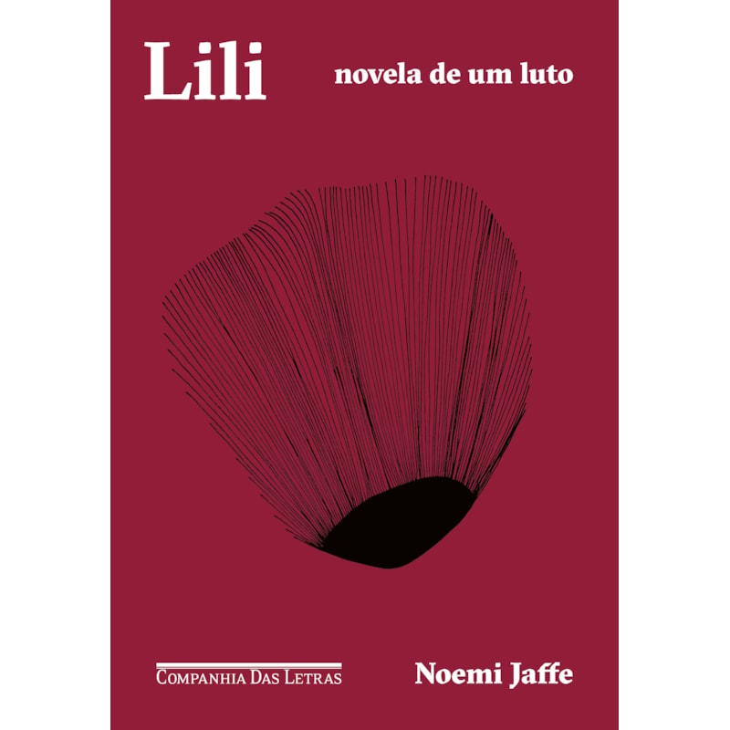 Lili: novela de um luto