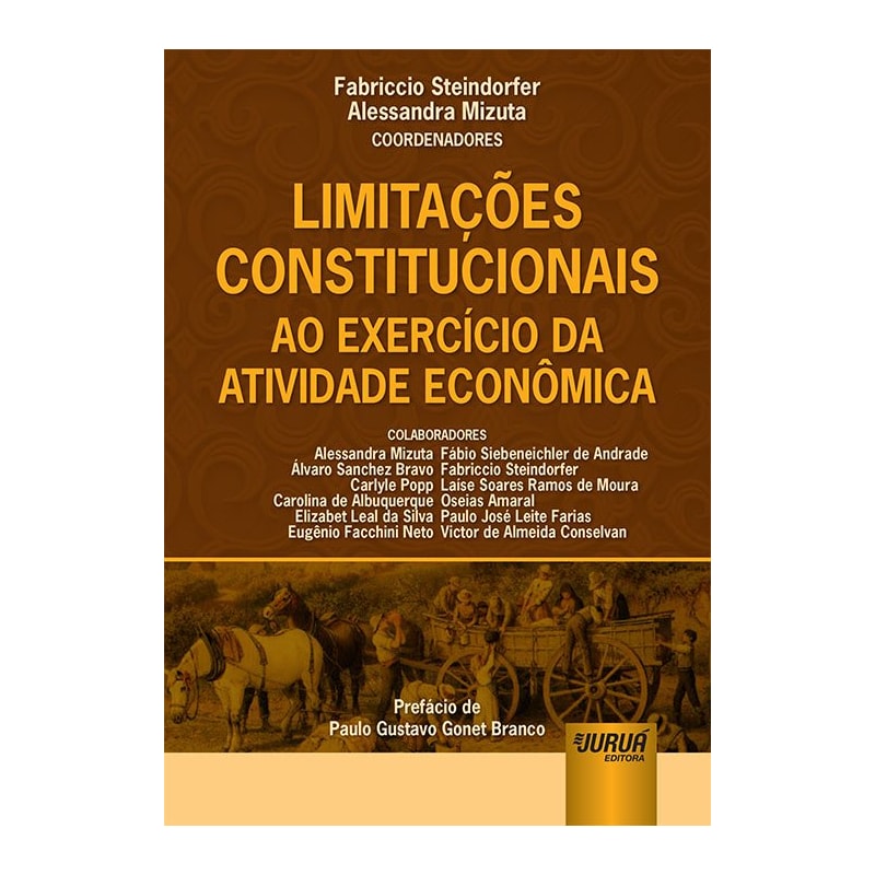 LIMITAÇÕES CONSTITUCIONAIS AO EXERCÍCIO DA ATIVIDADE ECONÔMICA