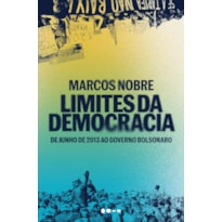 Limites da democracia: de junho de 2013 ao governo Bolsonaro