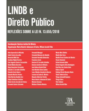 LINDB e direito público: reflexões sobre a lei n. 13.655/2018