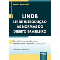 LINDB - LEI DE INTRODUÇÃO ÀS NORMAS DO DIREITO BRASILEIRO CONSTITUIÇÃO E AS ALTERAÇÕES IMPLEMENTADAS PELA LEI 13.655/2018