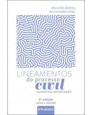 LINEAMENTOS DO PROCESSO CIVIL CONSTITUCIONALIZADO - 2ª EDIÇÃO