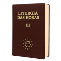 LITURGIA DAS HORAS VOLUME III - TEMPO COMUM SEMANAS 1ª A 17ª - ENCADERNADO
