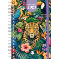 LIVRO AGENDA 2027 AMAZÔNIA - ORGANIZAÇÃO E PLANEJAMENTO