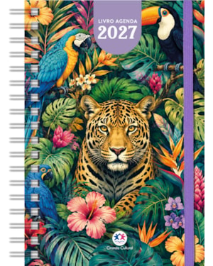 LIVRO AGENDA 2027 AMAZÔNIA - ORGANIZAÇÃO E PLANEJAMENTO