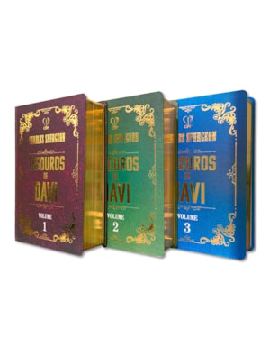LIVRO BOX TESOURO DE DAVI C/3 VOLUMES - 1 UNIDADE