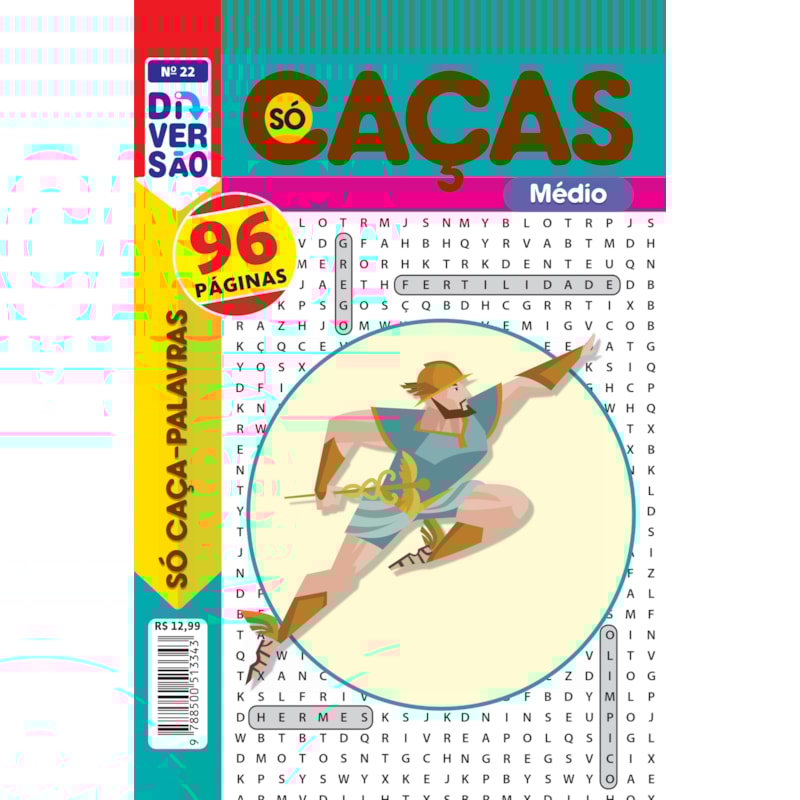 LIVRO DIVERSÃO SÓ CAÇA PALAVRAS 22