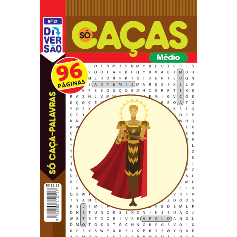 LIVRO DIVERSÃO SÓ CAÇA PALAVRAS ED 21