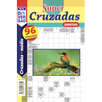 LIVRO DIVERSÃO SUPER CRUZADAS DIRETAS 22