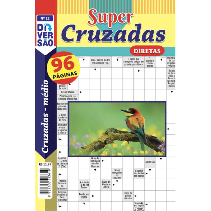 LIVRO DIVERSÃO SUPER CRUZADAS DIRETAS 22