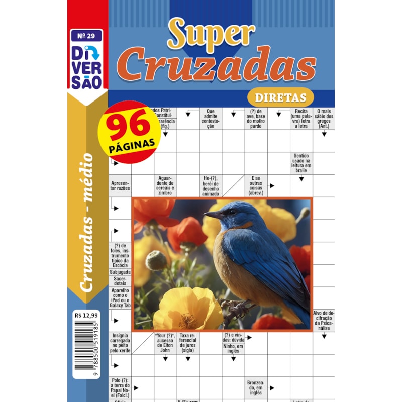 LIVRO DIVERSÃO SUPER PALAVRAS-CRUZADAS DIRETAS 29: NÍVEL MÉDIO