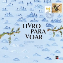 LIVRO PARA VOAR